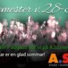 Ilmonte semester